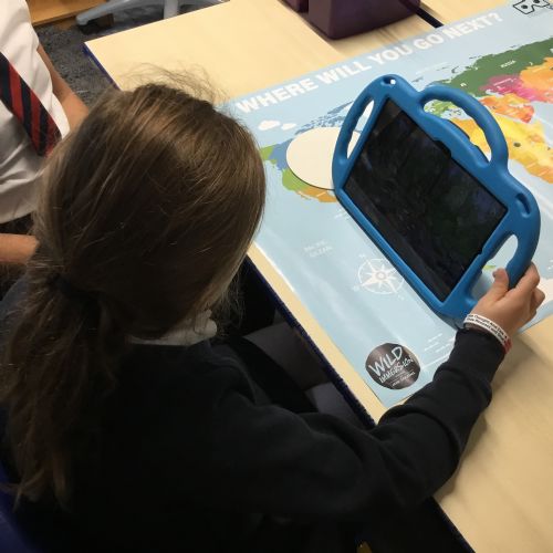 Curriculum Workshops
