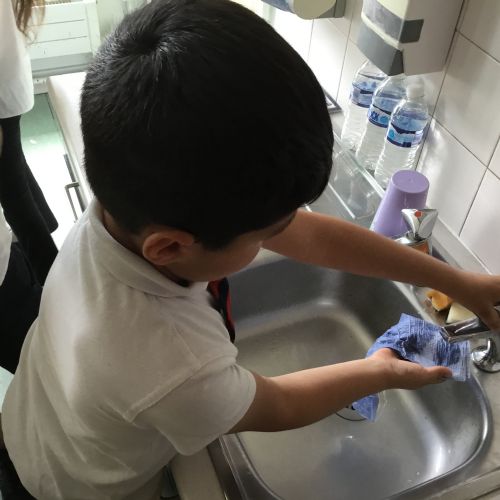 Year 2, observing and planting broad beans