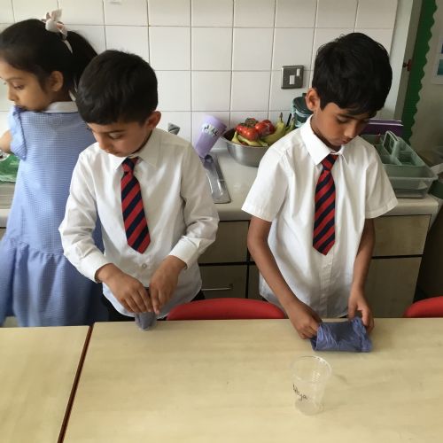 Year 2, observing and planting broad beans