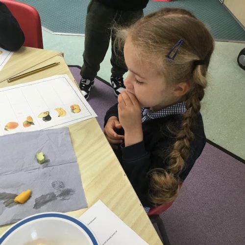 Nursery, describing fruits using our 5 senses
